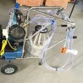 milking machine with stainless steel bucket